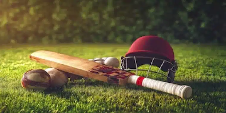 AK44 ব্র্যান্ডের ক্রিকেট সরঞ্জাম দিয়ে প্রস্তুত একটি ক্রিকেট সেটআপ